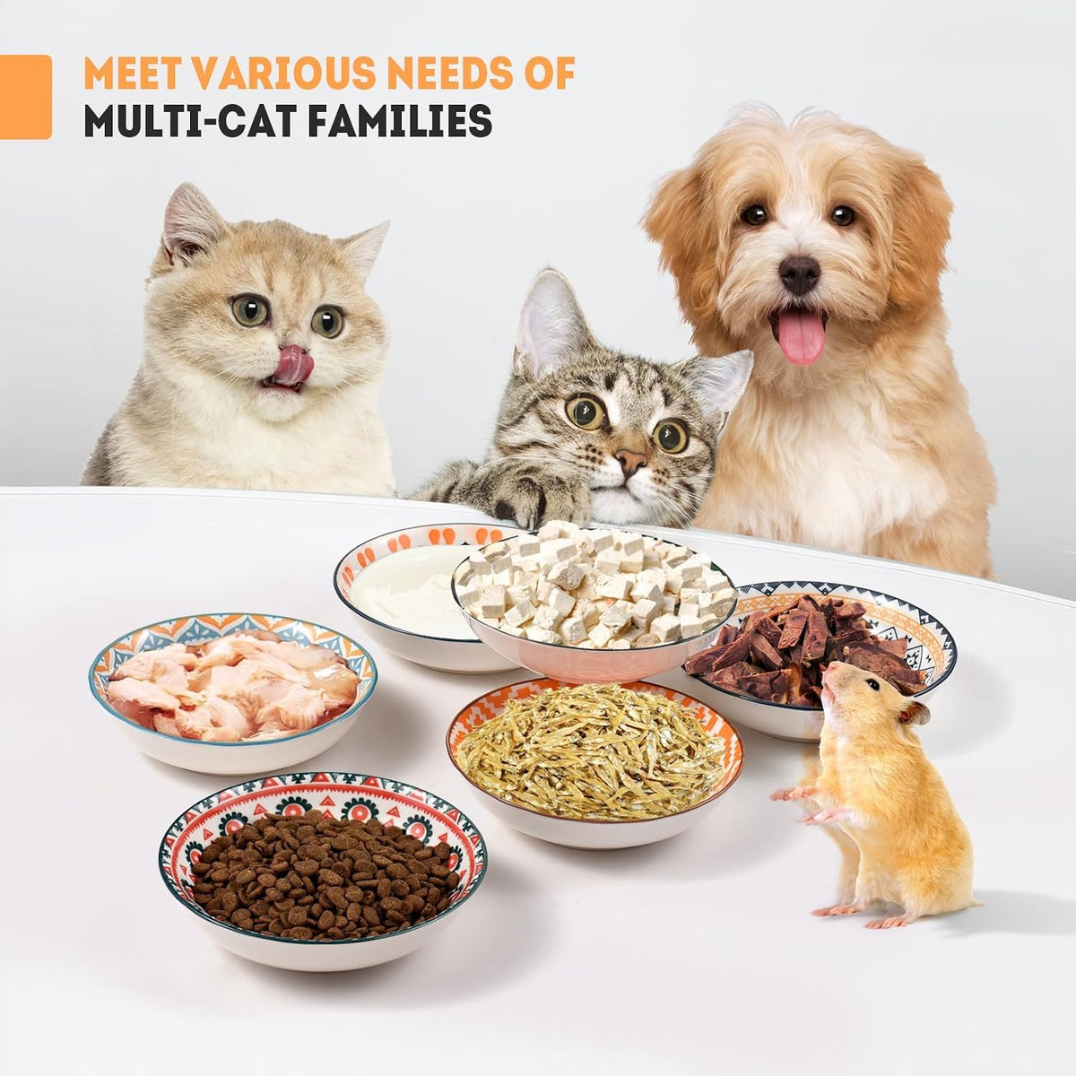 Cat Food Bowl, Kitten Bowls Set - Boho–6 Pack - image 3