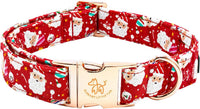 Elegant little tail Fall Dog Collar - Santa Claus / X-Small (Pack of 1)