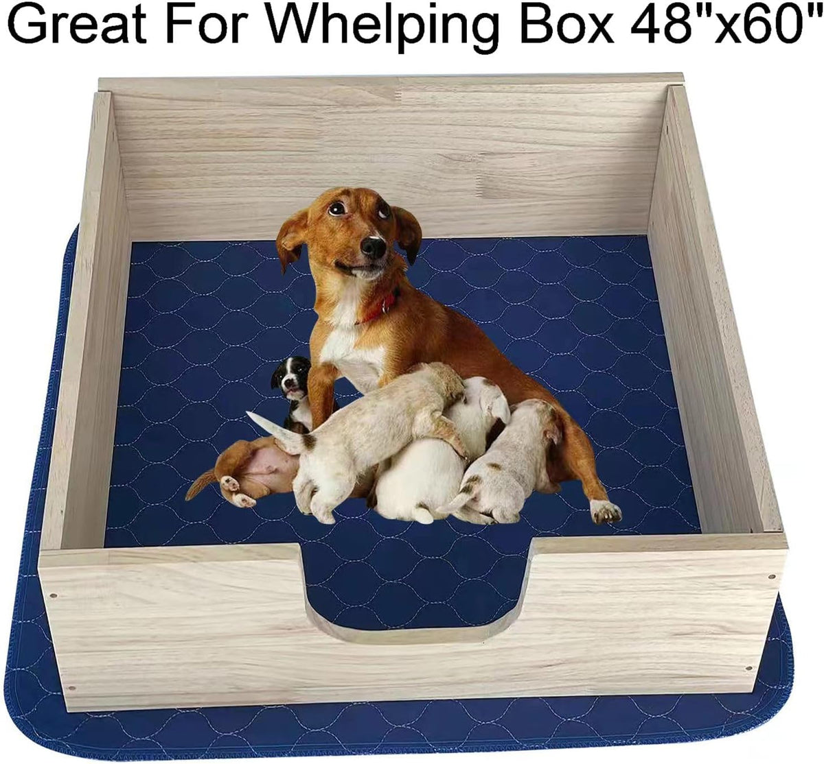2Pack Pee Pads for Dogs Washable 53”x53”, Pet Pads Waterproof - 2Pack 53”x65” - image 2