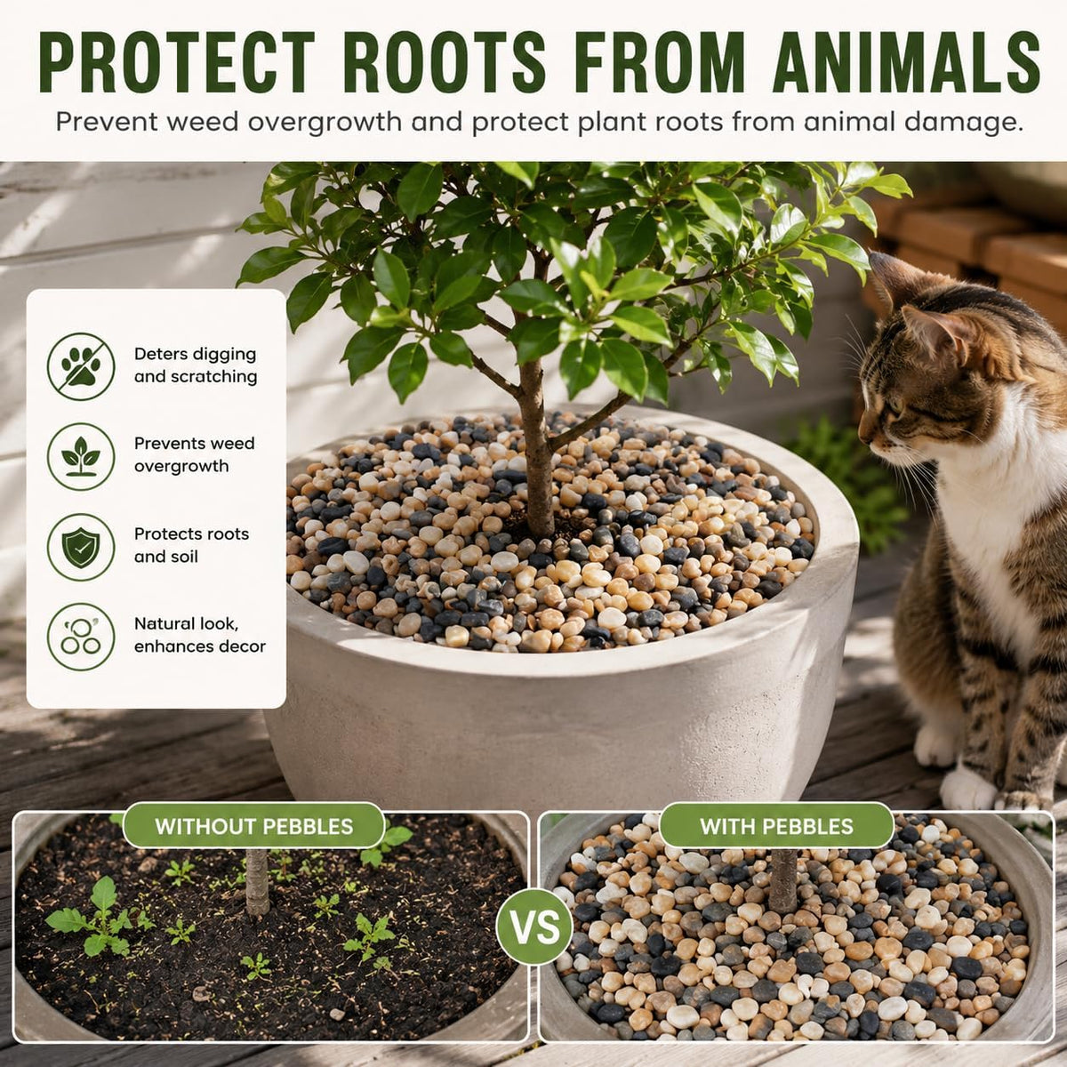 NUPICK 6 lb Aquarium Gravel - 20 lb - image 2