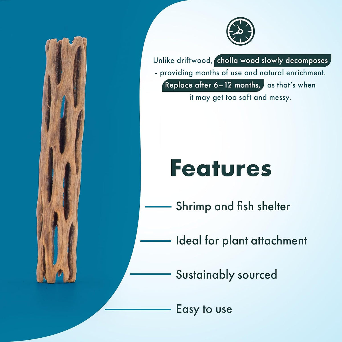 Natural Cholla Wood, Driftwood for Aquariums, Air Plant Base - Stick / 4 Inch (Pack of 3) - image 3