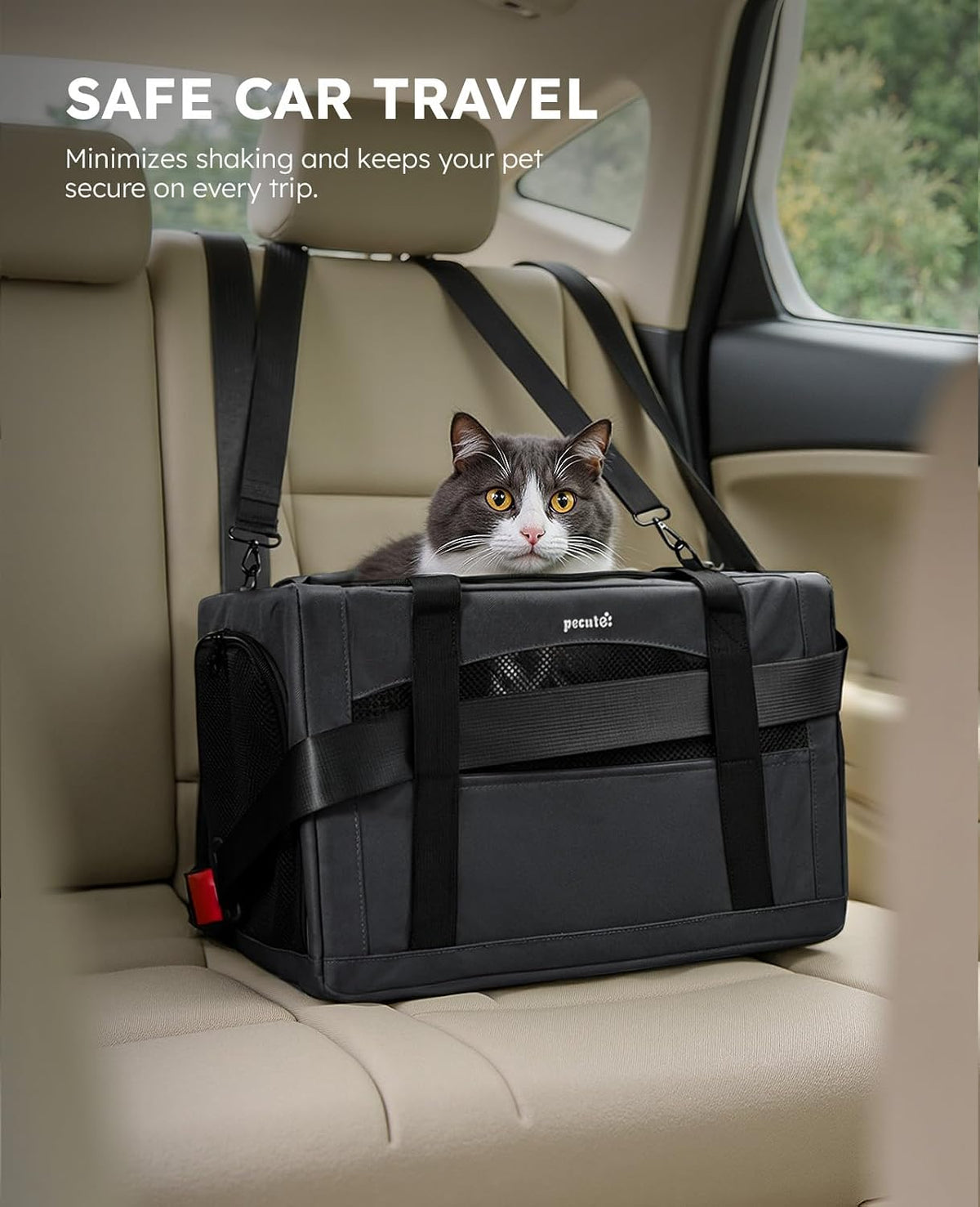 Pecute Cat Carrier Stable, Pet Carrier with Privacy Partition - Dark Gray Regular / 16.9"L x 11.0"W x 11.0"H - image 3