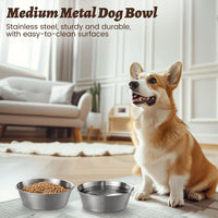 Elevated Dog Bowls for Medium&Small Dogs - 6 Cups / Basic Bowl - image 2
