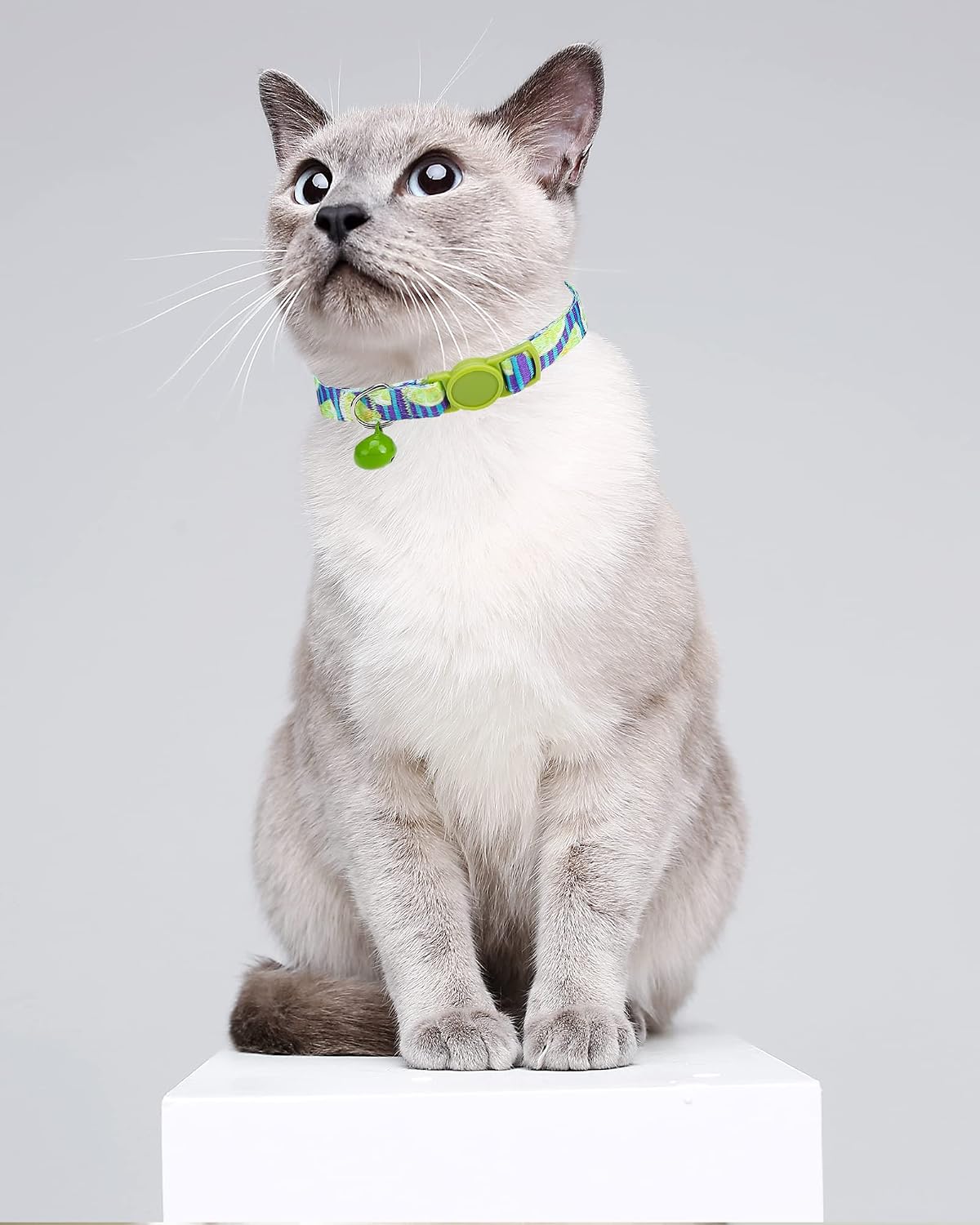 SOLMOONY Cute Cat Collar for Girl Boy - Cactus - image 3