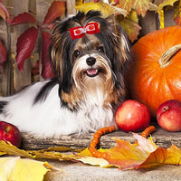 PET SHOW 20pcs Halloween Small Dog Hair Bows with Rubber Bands - 20pcs Thanksgiving - image 4