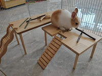 Bamboo Apple Sticks for Chinchillas Hamster Mouse Gerbil Bunny Pet Rat Guinea Pig Rabbit Chew Wood Timothy Hay Sticks Enrichment Toys for Teeth Supply Treats Snacks for Boredom Indoor