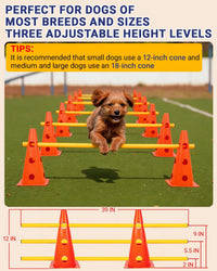 Dog Agility Course Backyard Set - 12 IN / Orange - image 2