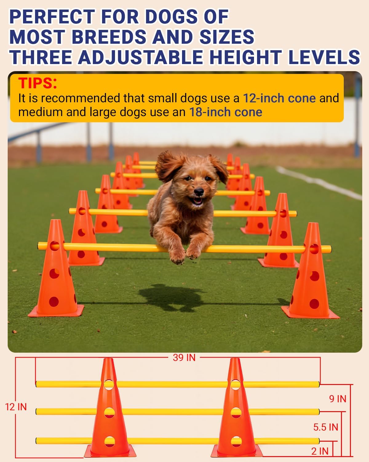 Dog Agility Course Backyard Set - 12 IN / Orange - image 2