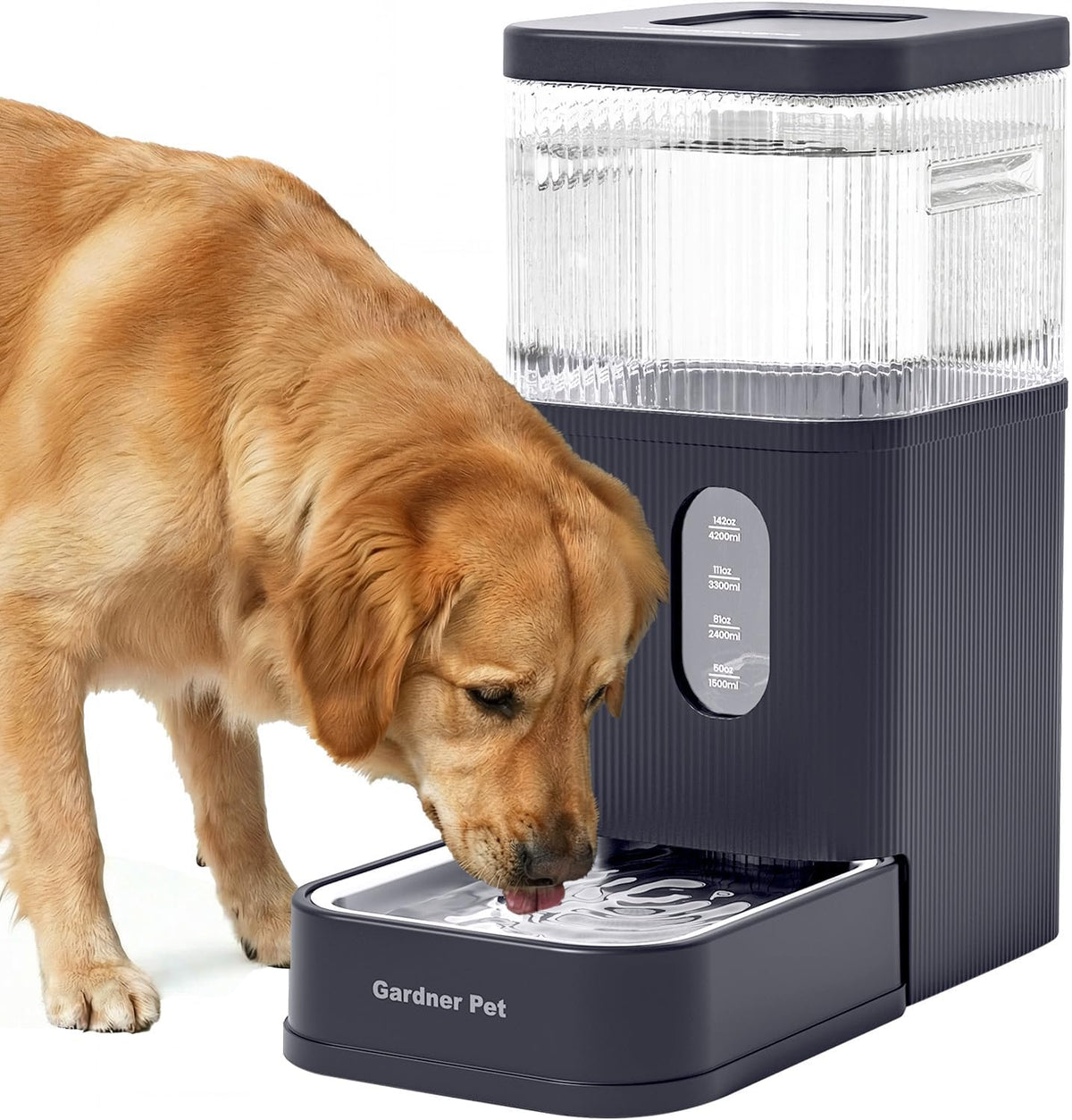 2.2 Gallon Automatic Dog Water Dispenser with Stainless Steel Bowl – Essentials for Dogs - Grey / 2.9 Gallon