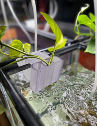 2 Pk Upgraded Aquarium Plant Holder - White 4 - image 4