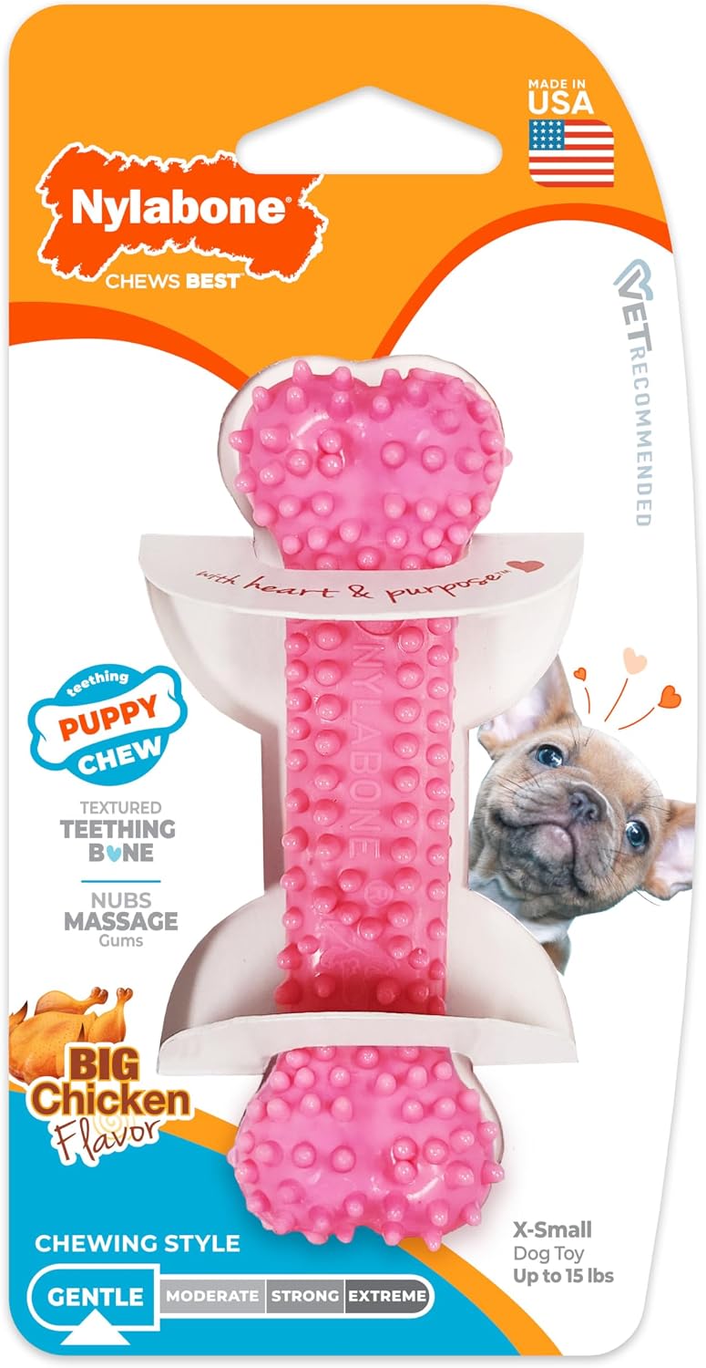 Nylabone Puppy Pacifier Chew Toy - Pink / X-Small