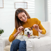 18Pcs Puppy Collars for Litter, Reflective Cat Collar - Reflective strip / Non breakaway - image 4