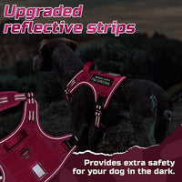 rabbitgoo Tactical Dog Harness Medium Sized Dog, No Pull Military Service Vest with Handle & Molle, Easy Control for Training Walking, Adjustable Reflective Straps, Rose Red, M