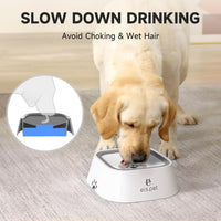 ELS PET No Spill Dog Cat Bowl 35oz 1L Anti Slip Travel Water - 1L / White - image 2