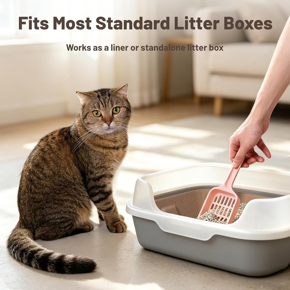 4 Pack Disposable Cat Litter Boxes - 4 Piece Set - image 4