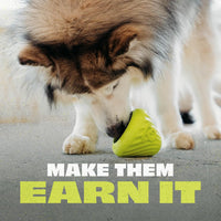 Benebone Natural Rubber Tug Interactive Dog Toy – Essentials for Dogs - Cone / One Size - image 2