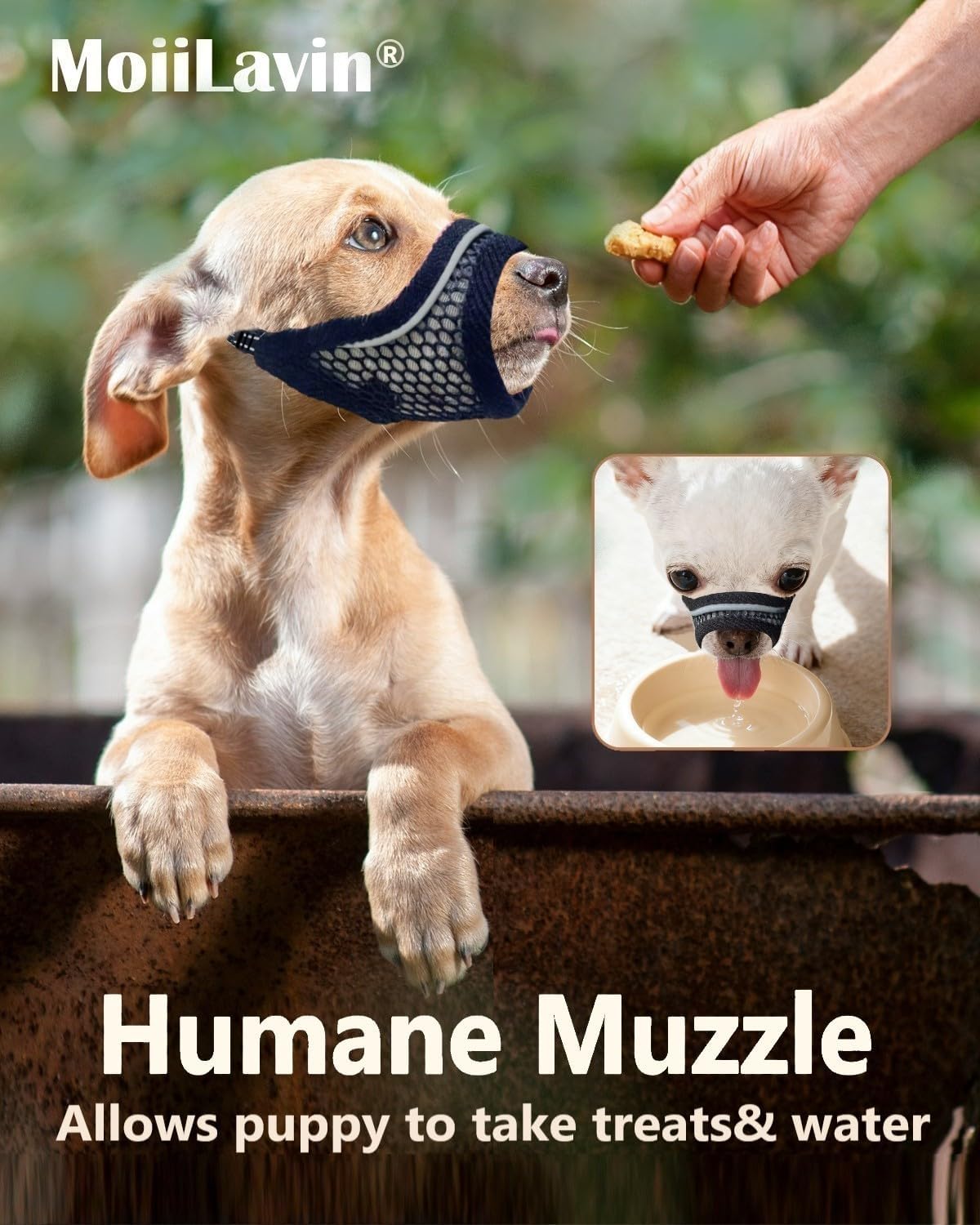 Dog Muzzle, Soft Mesh Muzzles for Small Dogs - Black / S-Snout (5.5"- 6.1") - image 2