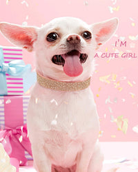 Dog Collar for Small Dogs - S / pink - image 3