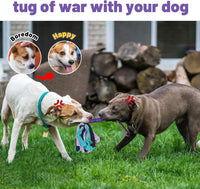 wodoca Interactive Dog Toys - Purple - image 3