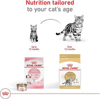 Royal Canin American Shorthair Breed Adult Dry Cat Food, 5.5 lb.