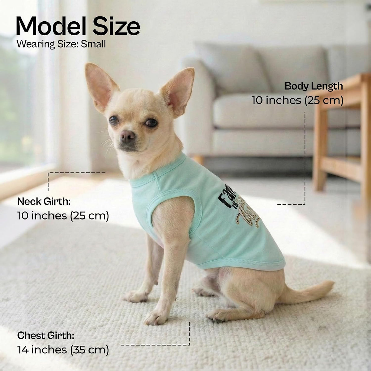 Parisian Pet Dog Shirt, 100% Cotton Shirts for Medium Dogs - Family is Everything / X-Small (3-5lbs) - image 3