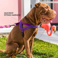 EzyDog Quick Fit Dog Harness, Soft Neoprene Padding - Medium / Pink Camo - image 4