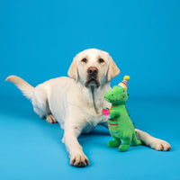 Fringe Studio Dog Plush Pet Toy with Squeaker - I’M How Old? - image 3