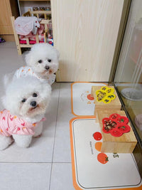 Dog Lick Pad, Dog Feeding Mats Slow Eating Pet Mat with Super Suction for Dogs Licking Peanut - Yellow - image 4