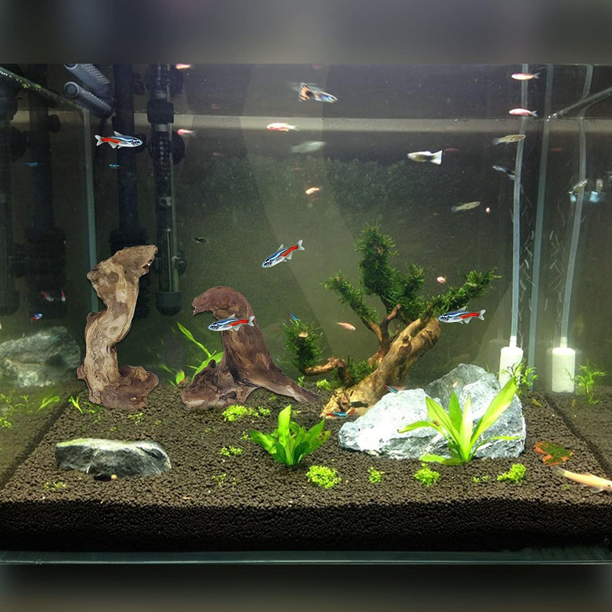 Driftwood for Aquarium, 10 Pack Small Drift Wood Pieces Bulk – Essentials for Fish - image 2