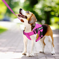 voopet Service Dog Harness, Emotional Support Pet Vest Harness - Small (Pack of 1) / Barbie Pink - image 3