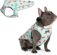Spark Paws Dog Cooling Vest, Evaporative Summer Cooling - Watermelon / Large