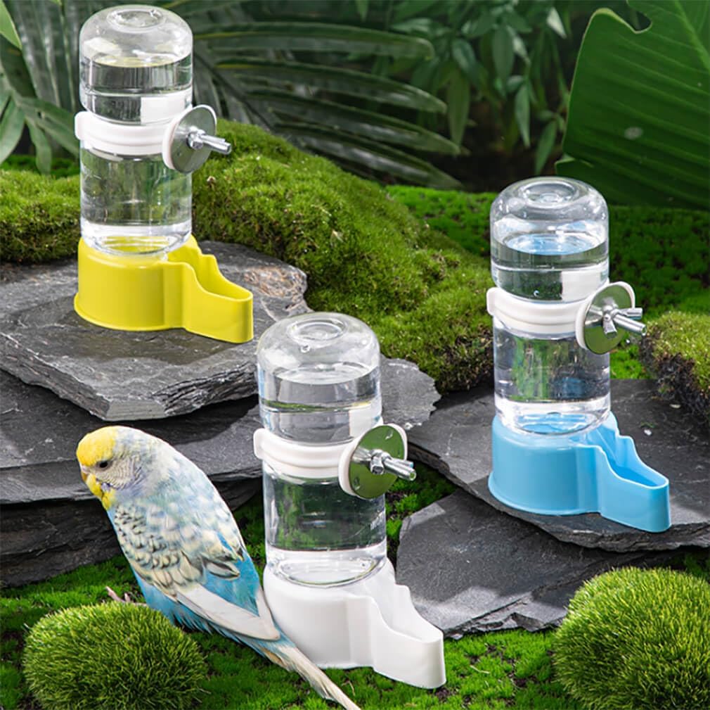 Pet Bird Automatic Water Feeder - Green - image 2