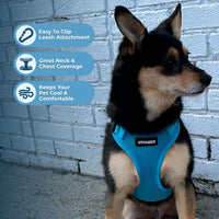 Voyager Step-in Lock Dog Harness, Pink - Harness (Turquoise) / XL (Chest: 23 - 28") - image 3