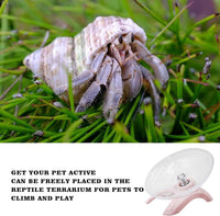 Hermit Crabs Wheel Toy, Hamster Running Wheel Toys - Small / Pink - image 2