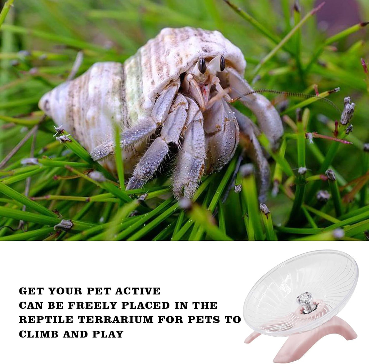 Hermit Crabs Wheel Toy, Hamster Running Wheel Toys - Small / Pink - image 2