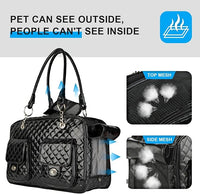 Soft-Sided Pet Travel Carrier Airline Approved for Pet Small Dog and Cat Collapsible, Black Shiny Patent Leather