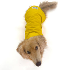 Long Dog Dachshund Raincoat, Waterproof Rain Jacket - Large - image 3