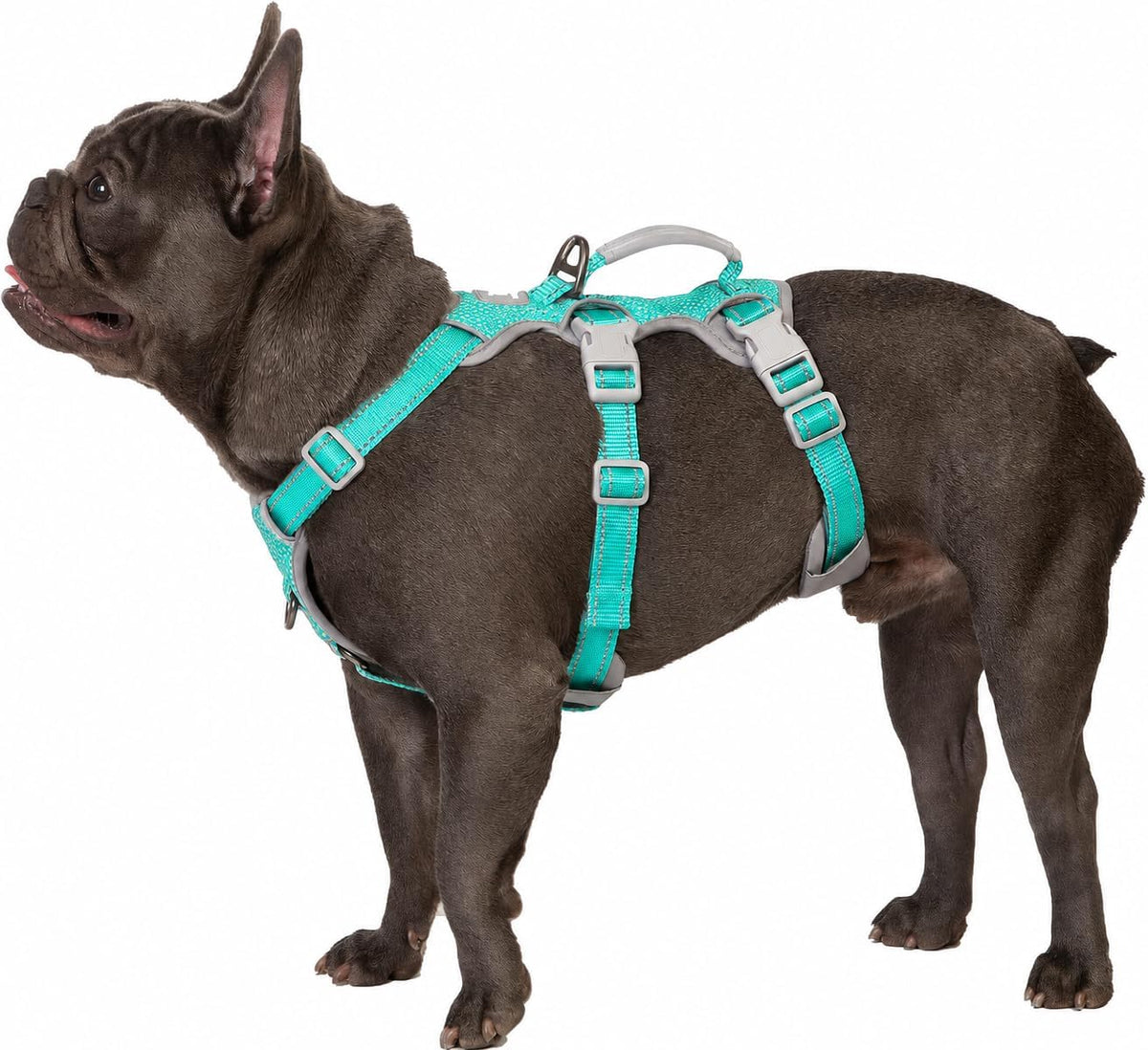 Huntboo Escape Proof Harness, No Slip Dog Harness Escape Proof - Mint Green / Medium(Pack of 1)
