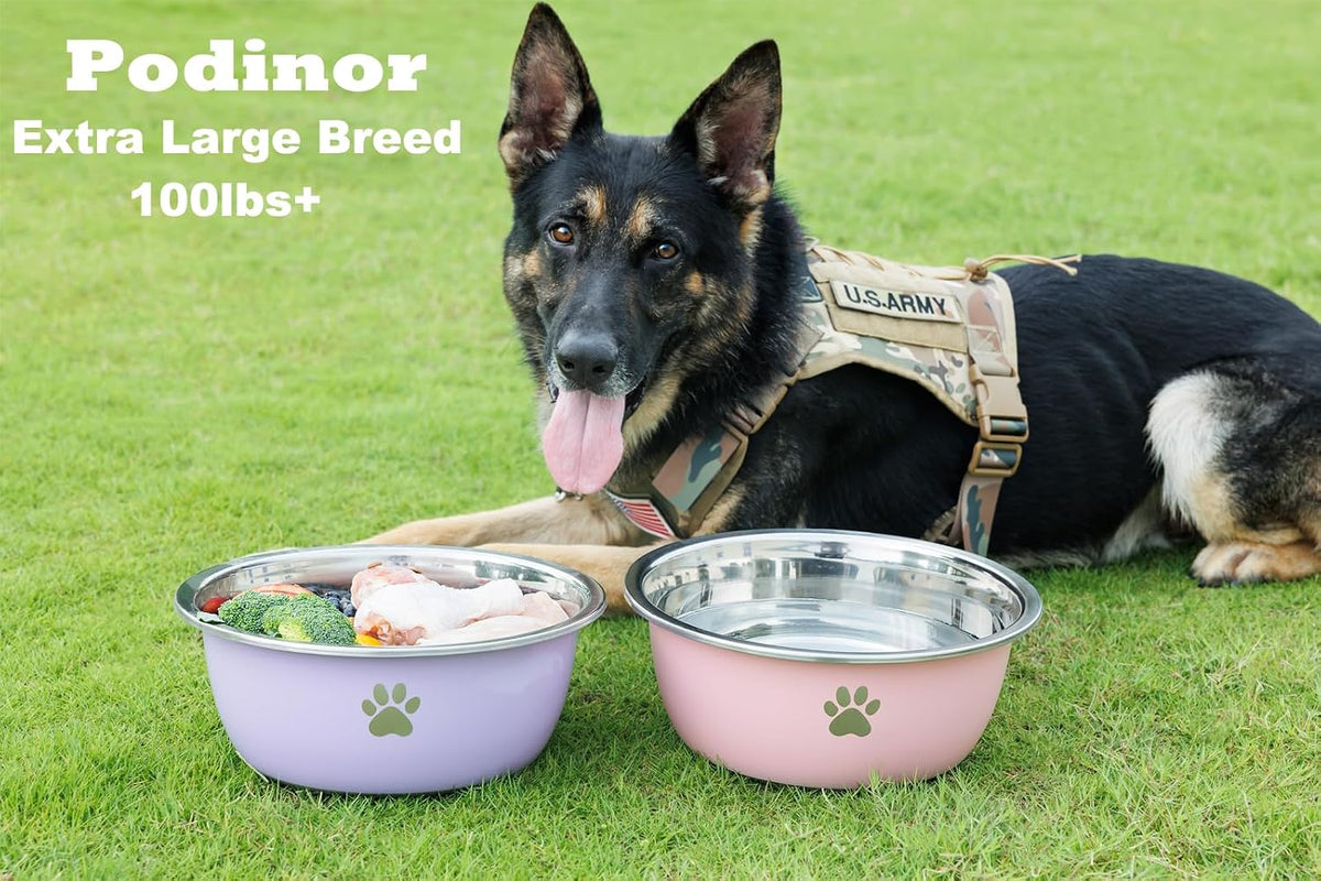 Large Dog Water Bowl 2 Pack, Aqua - Pink - 2 Pack / 1.3 Gallons - XL (100lb + breed) - image 2