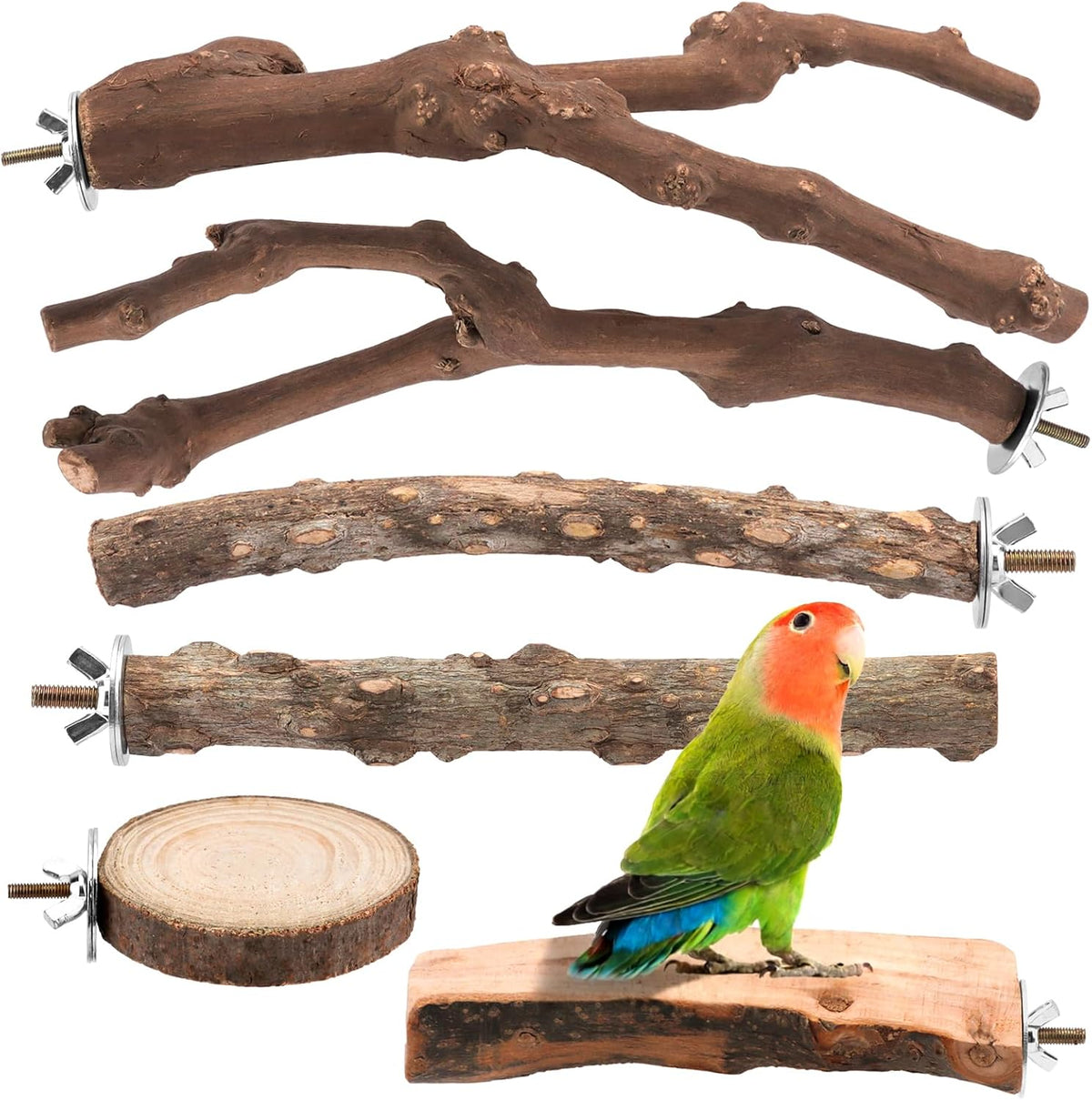 4 Pack Natural Wood Bird Perch Set for Parakeet Cage – Essentials for Birds - 6 Pcs - Multi-Texture Variety (Grapevine & Ash)