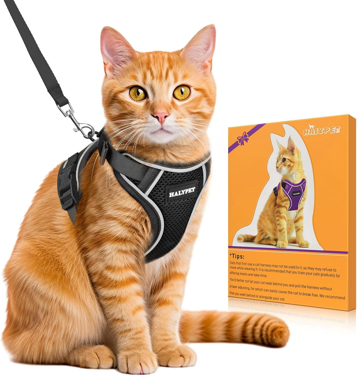 Cat Harness and Leash Set, Escape Proof Kitten Harness, Black - H600 Pro Black / Small (7-12lb)