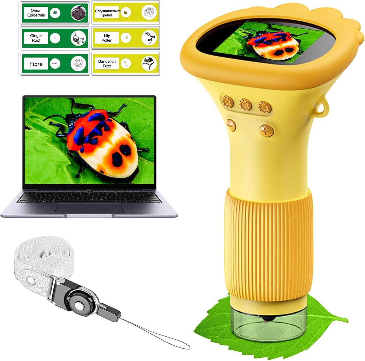 WINWEND Kids Microscope Pocket Microscope 1000X Portable Microscope - Orange