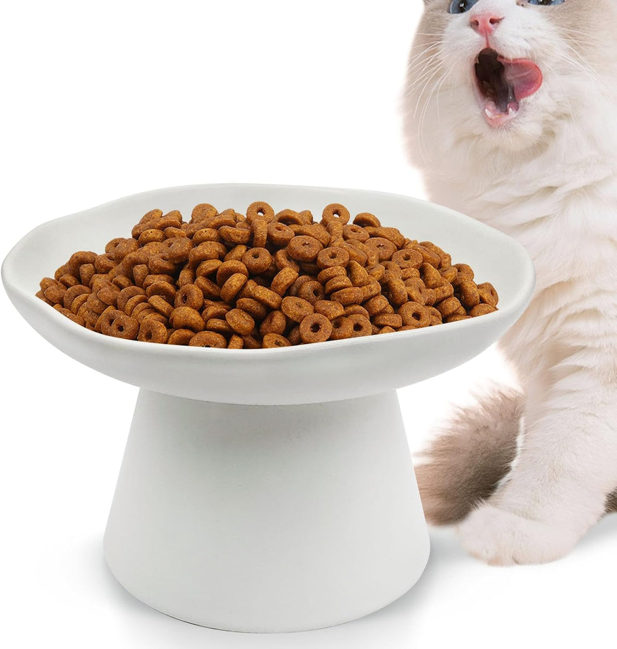 VCEPJH Elevated Cat Bowls 6.1in Wide Shallow Ceramic Raised Food Dish – Essentials for Cats - White(Pack of 1)