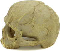 JIHAQUA Aquarium Resin Skull Ornament Snake Hide Decor, Habitat – Essentials for Fish - image 3