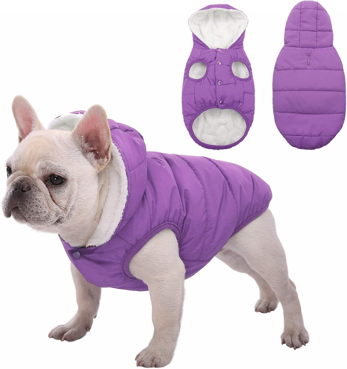 Dog Winter Coat,Warm Fleece Lined Dog Jacket with Leash Hole & Hood – Essentials for Dogs - Purple / X-Large