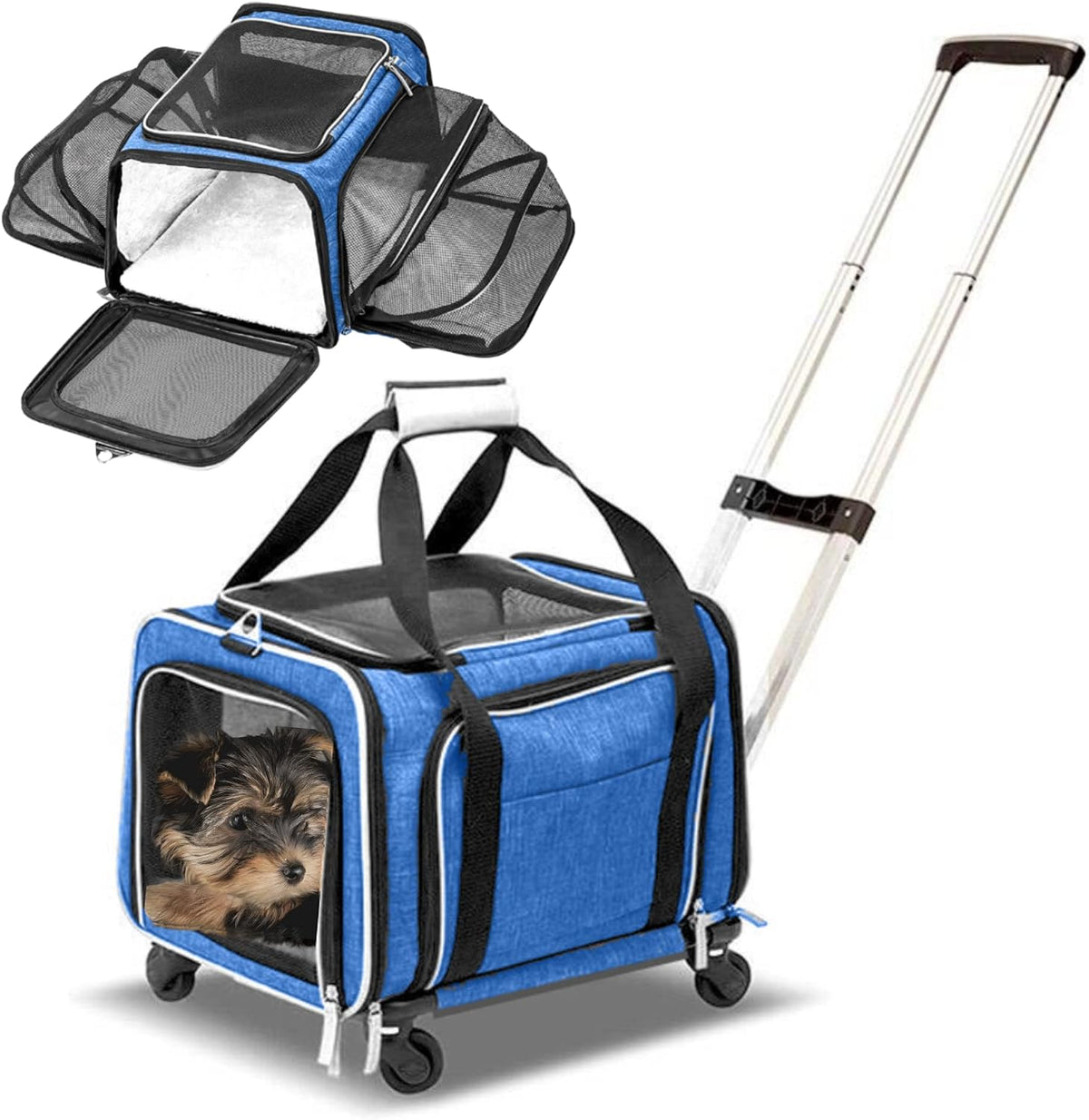 Airline Approved Expandable Premium Pet Carrier on Wheels - BLUE
