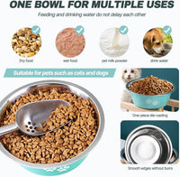 Stainless Steel Dog Bowls - Green / 8.5 Cups/71 OZ - image 3