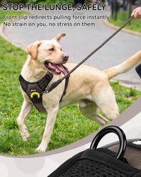 Joytale No Pull Dog Harness & Seat Belt, Easy On 3-Buckle, L - Brown / Large - image 4