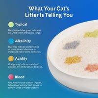 PrettyLitter Health Monitoring Cat Litter - Calm Aloe / 6 LB (Pack of 2) - image 4