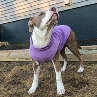 Gooby Stretch Fleece Vest Dog Sweater - X-Large Length (16.5") / Lavender - image 2